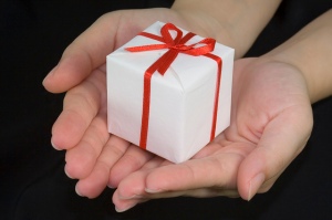 Gift Wrapped Package